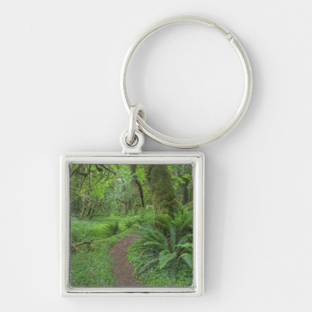 Porte-clés États-Unis, Washington, Olympic National Park, (Devant)