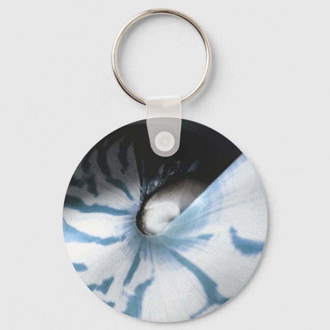 PORTE-CLÉS ÉTUDE SUR LES COQUILLES BLEU (Recto)