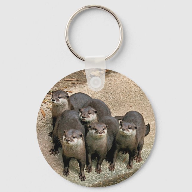 Porte-clés Famille adorable de Otter (Recto)