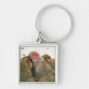 Porte-clés Famille de macaque japonais, Jigokudani,