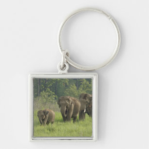 Porte-clés Famille d'éléphants indiens