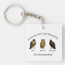 FDT Défendre la diversité Déclaration audacieuse