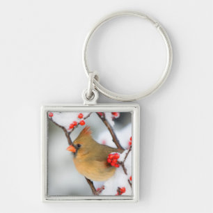 Porte-clés Femme cardinale du Nord sur le canneberge commun