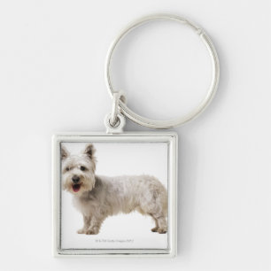 Porte-clés Fermez-vous d'un terrier