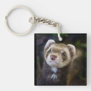 Porte-clés Ferret