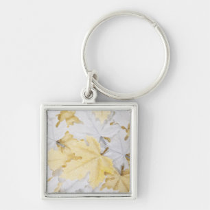 Porte-clés Feuilles d'automne