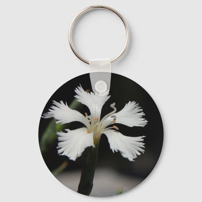 porte-clés fleur blanche (Recto)