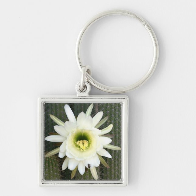 Porte-clés Fleur De Cactus De Nuit, Région De Karoo (Devant)