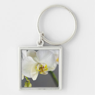 Porte-clés Fleur d'Orchidée Blanche