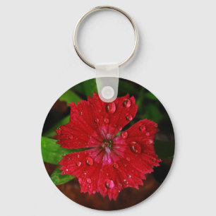 Porte-clés Fleur Rouge Dianthus Grattant Avec Raindrops Photo