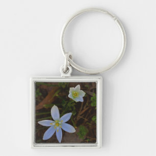 Porte-clés fleurir en blanc