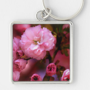 Porte-clés Fleurs de cerisier roses du printemps ravissantes