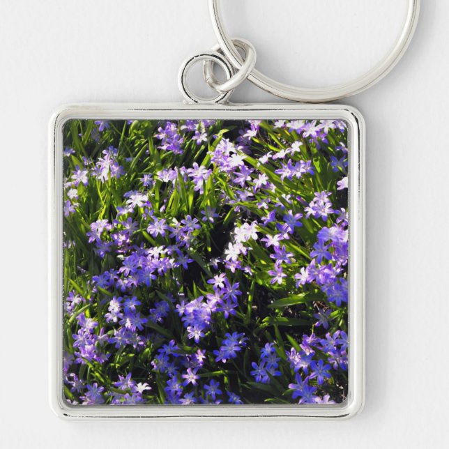 Porte-clés Fleurs de printemps de Squill Bleu (Devant)
