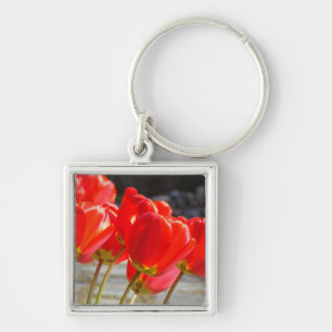 Porte-clés Fleurs de Tulipe Rouge chaîne de clés d