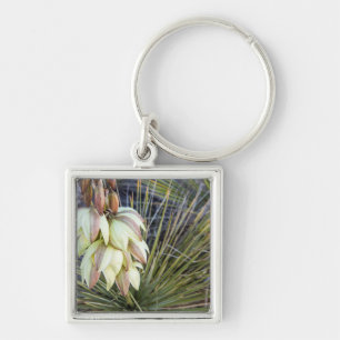 Porte-clés Fleurs de Yucca elata sur le Haut Missouri