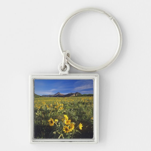 Porte-clés Fleurs sauvages de balsamroot à feuilles sagittées (Devant)