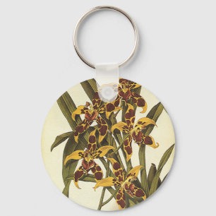 Porte-clés Fleurs vintages Tropicales Odontoglossum Orchidées
