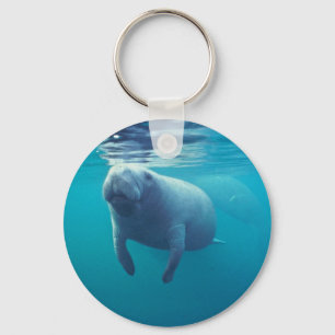 Porte-clés Florida Manatee