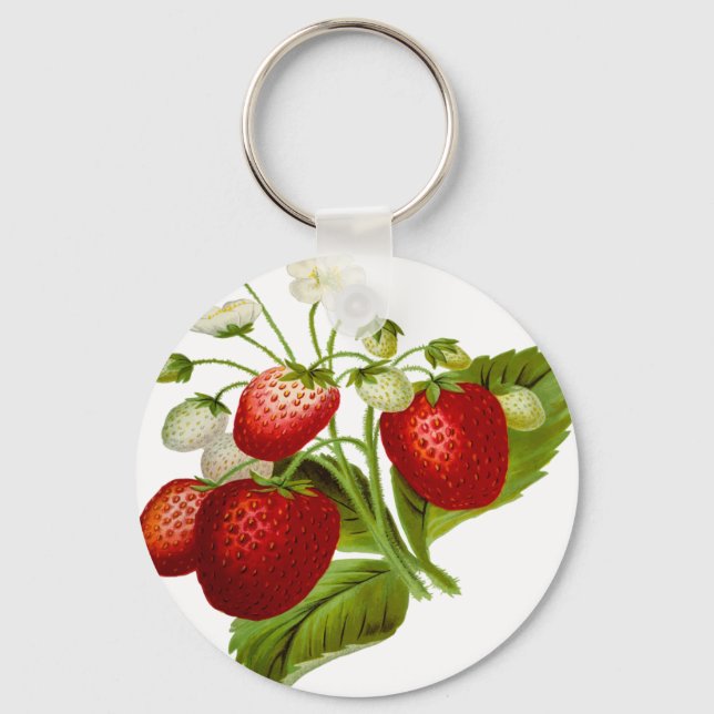Porte-clés Food fruit leaf leafy (Recto)