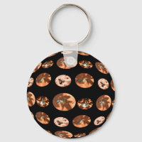 Forme de boule Meerkat, Clavier