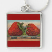 Fraises Giant Fruit Antique Fruit Amusant