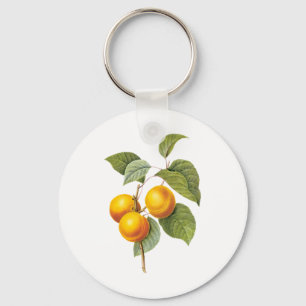 Porte-clés Fruit vintage, Pêche à l'abricot par Redoute