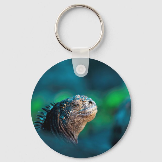 Porte-clés Galapagos marine iguane (Recto)
