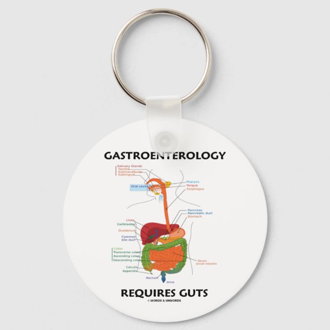 Porte-clés Gastroentérologie Nécessite Des Guts (Système Dige (Recto)