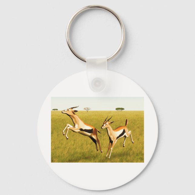 Porte-clés Gazelle de Thomson (Recto)