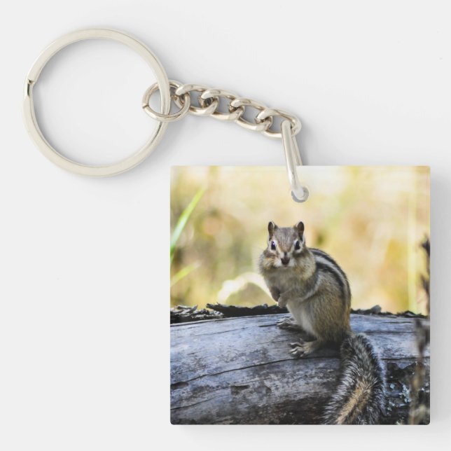 Porte-clés Gazer Chipmunk (Devant)