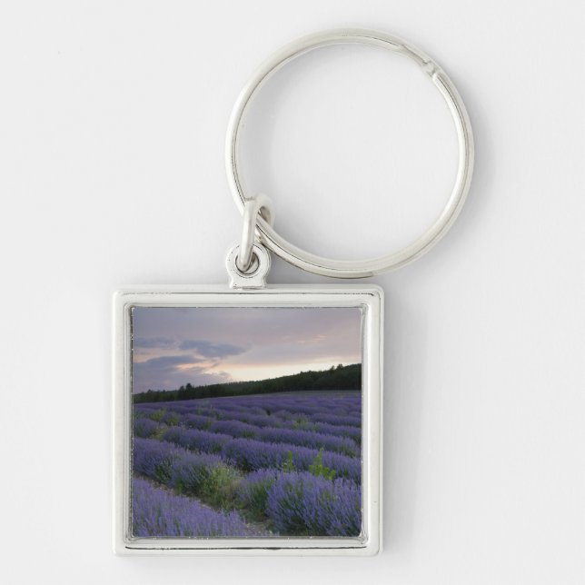 Porte-clés Gisement de lavande au coucher du soleil (Devant)