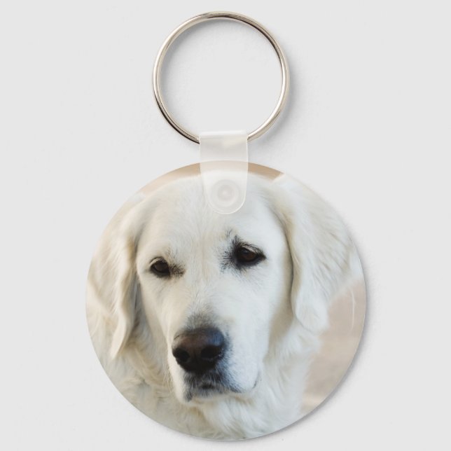 Porte-clés Golden Retriever (Recto)