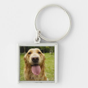 Porte-clés Golden retriever 4