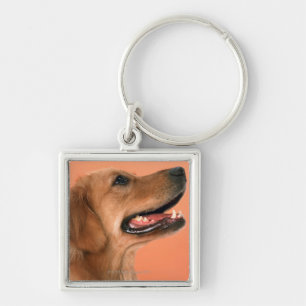 Porte-clés Golden retriever 7