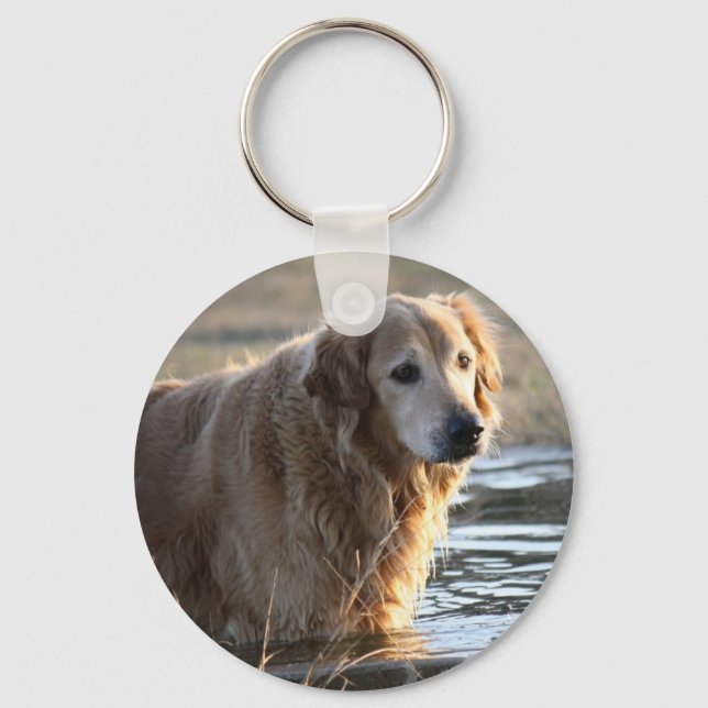 Porte-clés Golden Retriever dans l'eau (Recto)