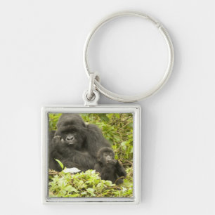Porte-clés Gorille des montagnes, Gorilla beringei (anciennem