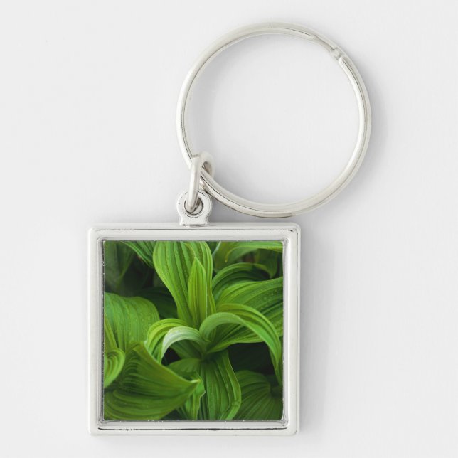 Porte-clés Gouttes de rosée sur un Helabore faux (Devant)