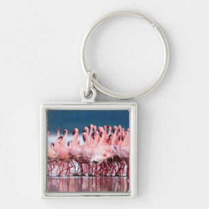 Porte-clés Grand Groupe De Flamants Nains