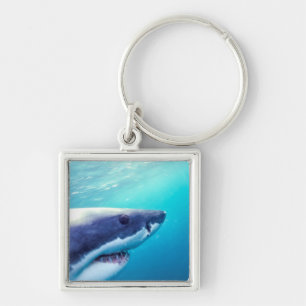 Porte-clés Grand requin blanc Afrique du Sud
