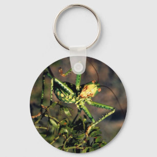 Porte-clés Grasshopper