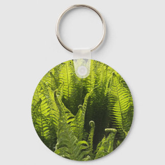 Porte-clés “Green ferns and curling fronds”