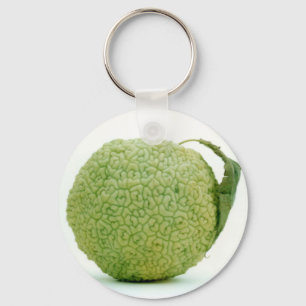 Porte-clés Gros héraut vert