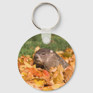 Porte-clés Groundhog