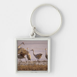 Porte-clés Grues du Canada Grus canadensis) Platte