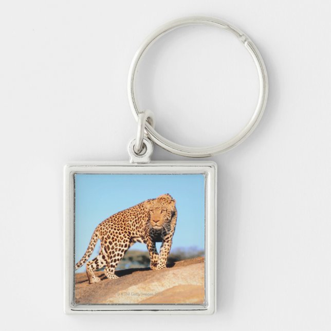 Porte-clés Guépard (Devant)