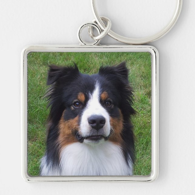 Porte-clés HALO le chien australien (Devant)
