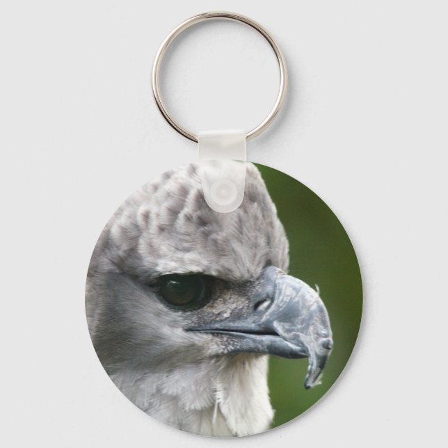 Porte-clés Harpy Eagle (Recto)