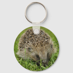 Porte-clés Hedgehog Key Chain