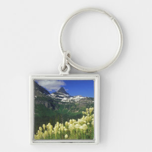 Porte-clés Herbe d'ours à Logan Pass dans le parc national de