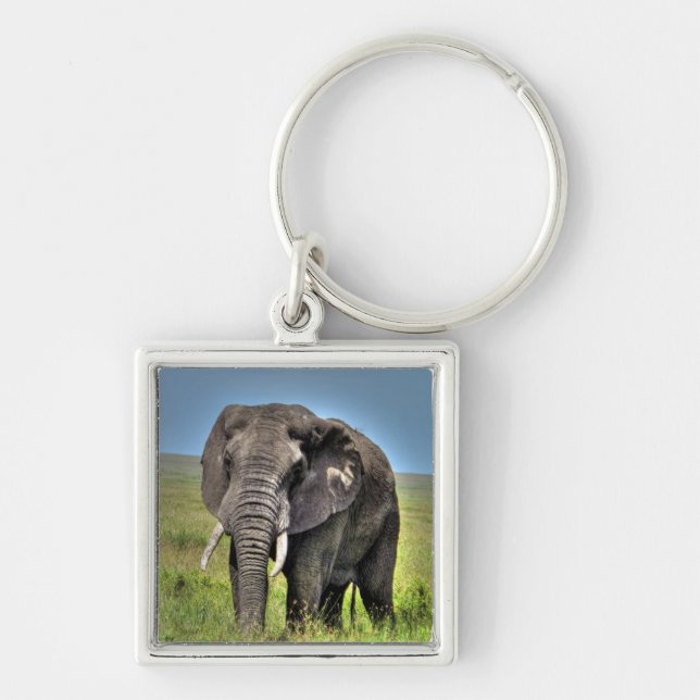 Porte-clés Herbes d'éléphant africain et de savane (Devant)